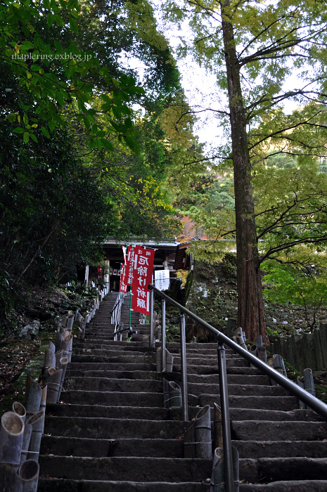 国東/文殊仙寺 御開帳_f0234062_22285248.jpg