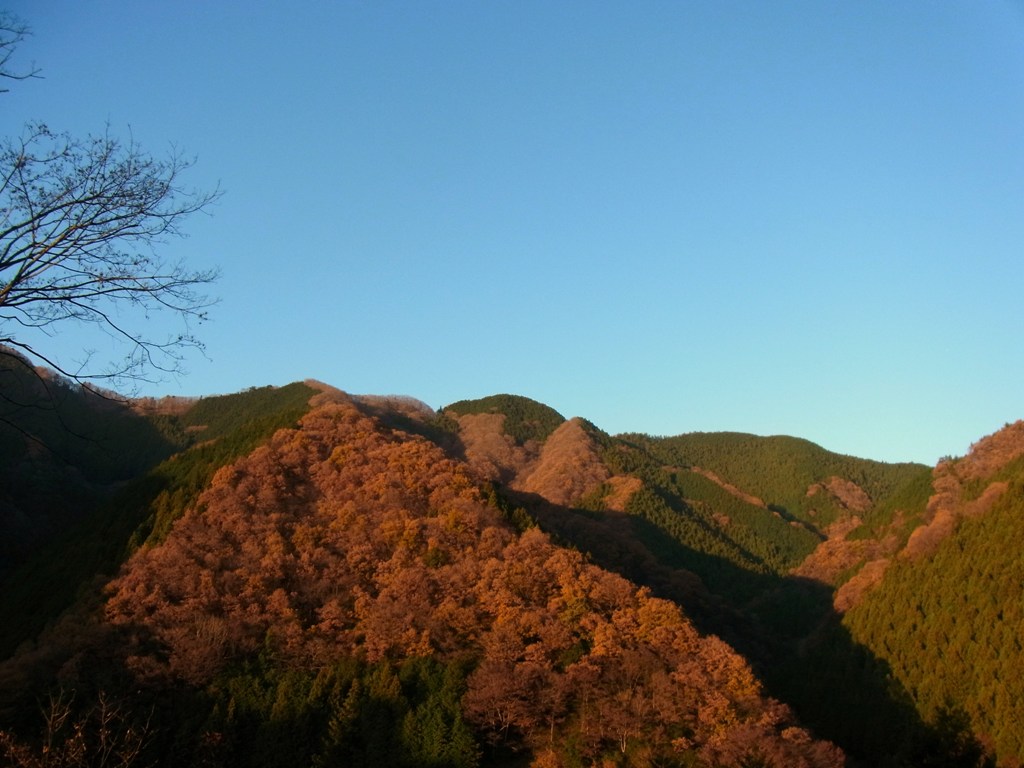 2011/12/11　陣馬山_d0233770_23541424.jpg