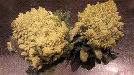 お野菜_d0118071_1252626.jpg