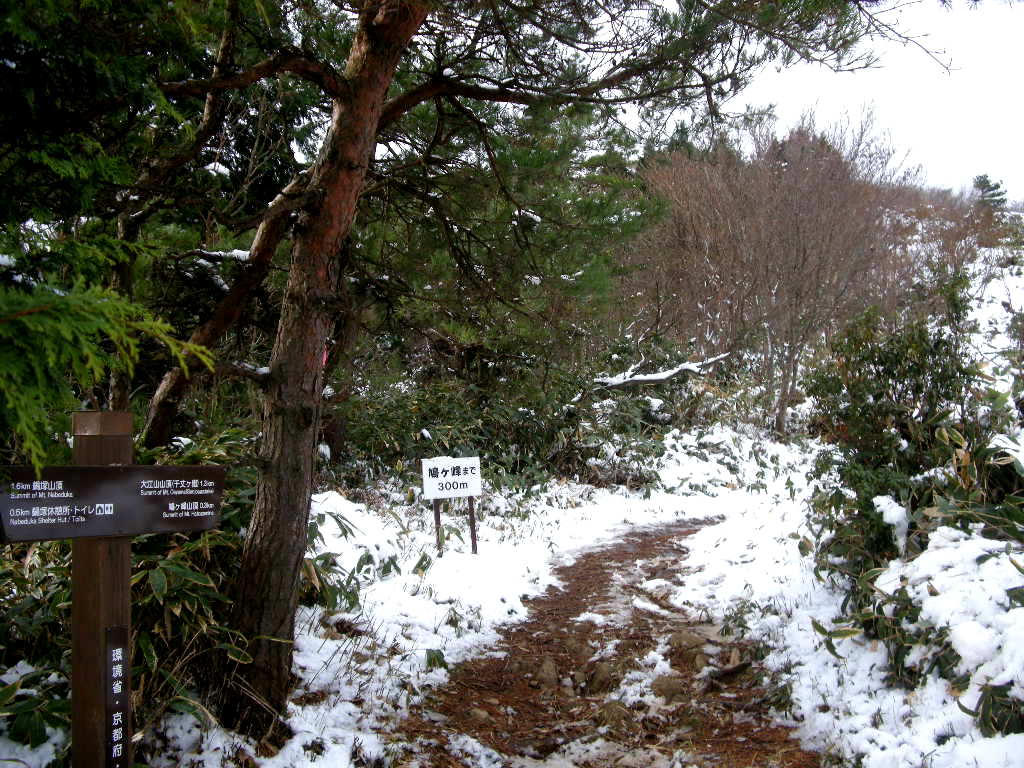 b0185573_18373313.jpg