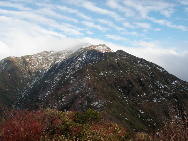 e0198274_194890.jpg