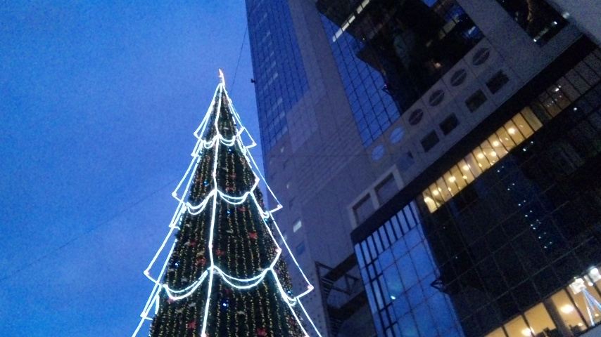 f0200477_19564981.jpg
