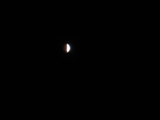 a0123978_036538.jpg