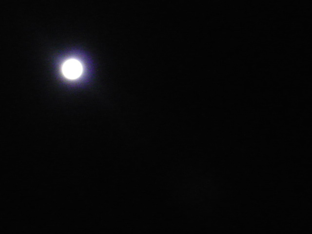 f0123983_5465084.jpg