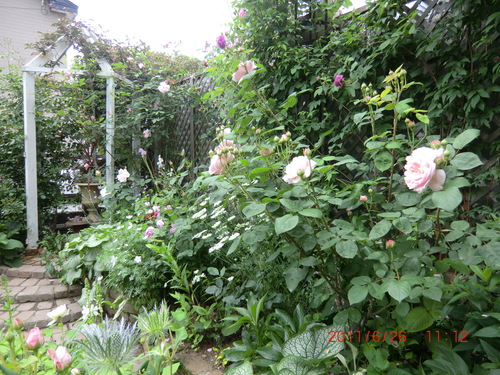 c0078586_19223999.jpg