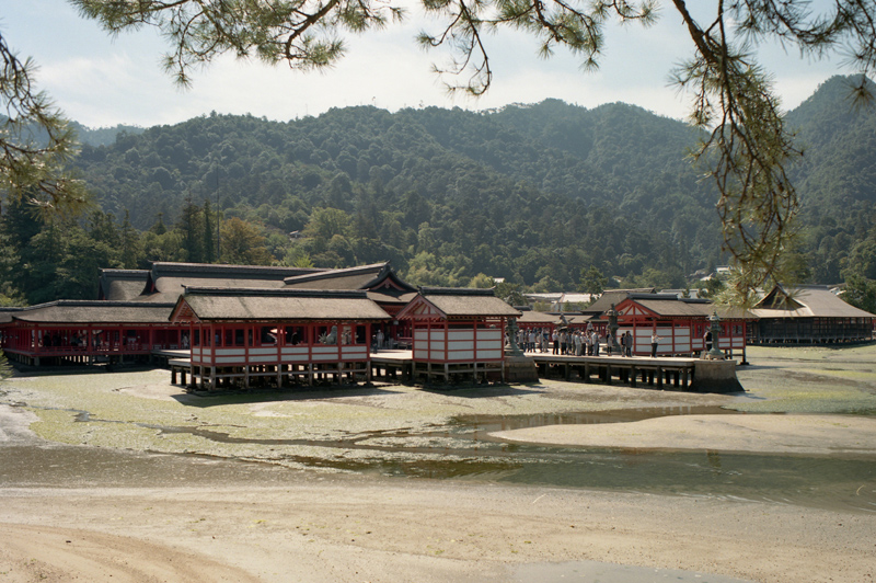 いつぞやの厳島神社_e0209588_23131547.jpg