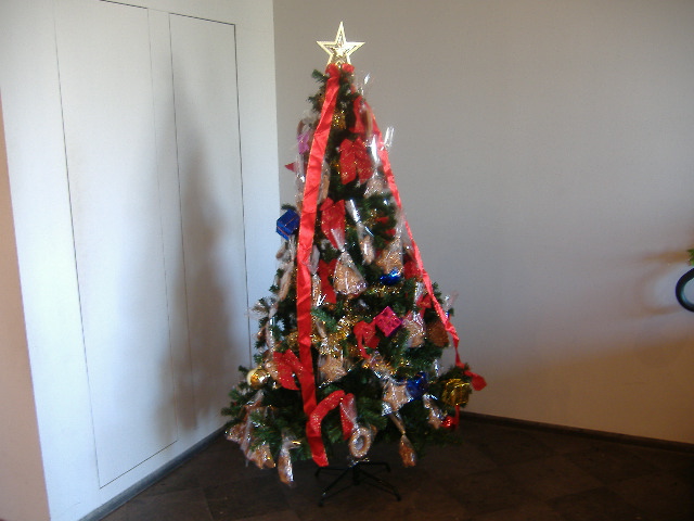 クリスマスツリーを飾ろう_e0120789_16334593.jpg