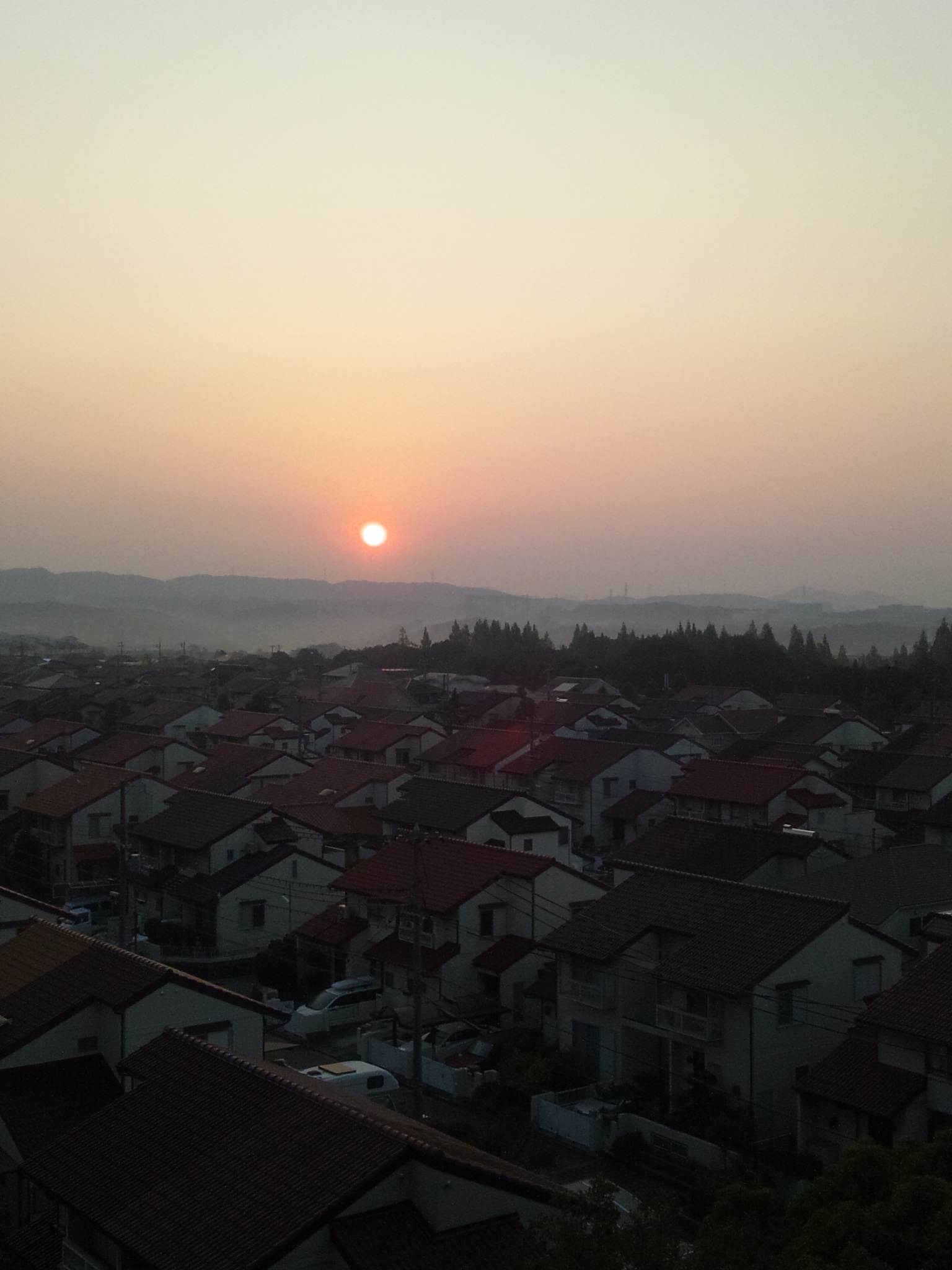 c0109891_1413421.jpg