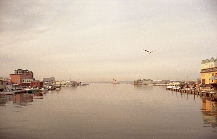 c0214494_22154025.jpg