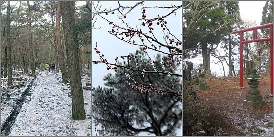 白鳥山　2011年１２月１１日(日)_e0095197_90811.jpg