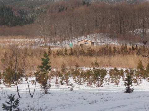 a0138198_113344.jpg