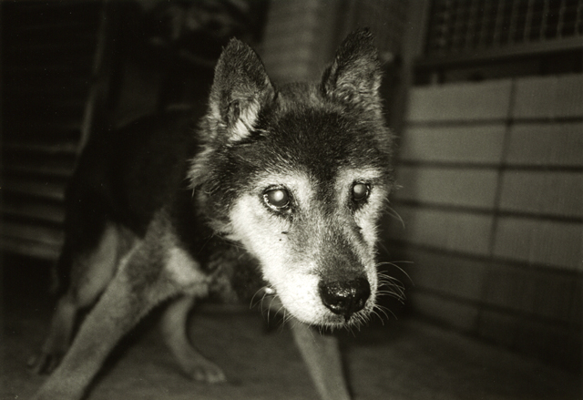 d0039803_15562359.jpg