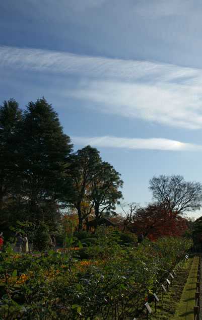 f0036603_21123552.jpg