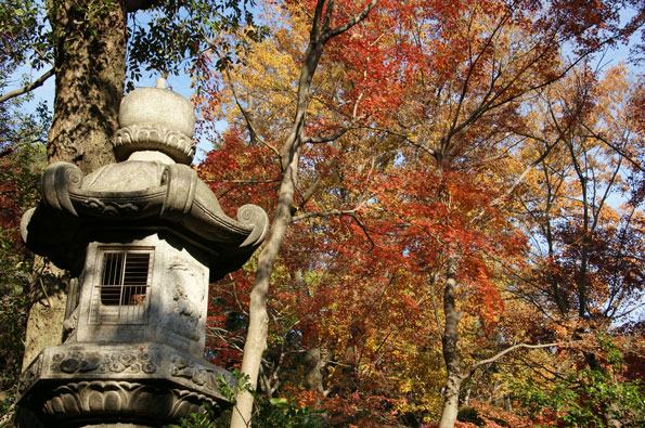 f0036603_21131481.jpg