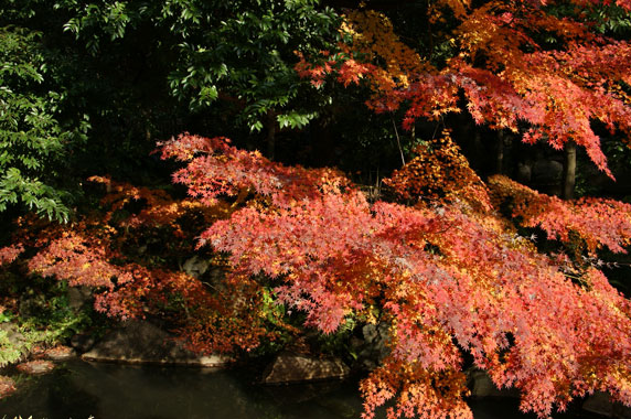 f0036603_21134110.jpg