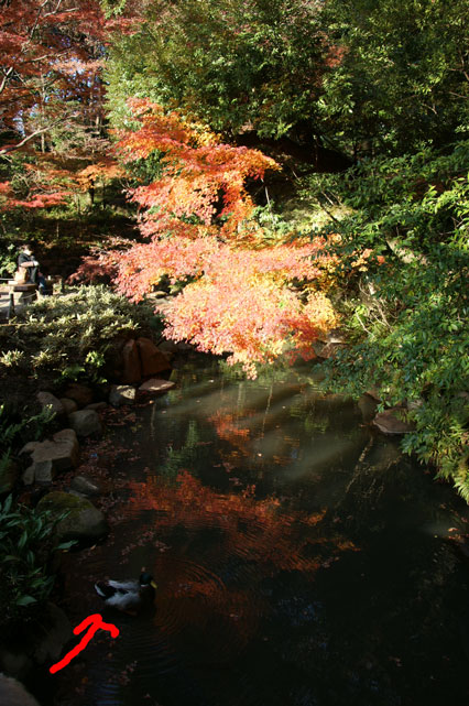 f0036603_2114958.jpg