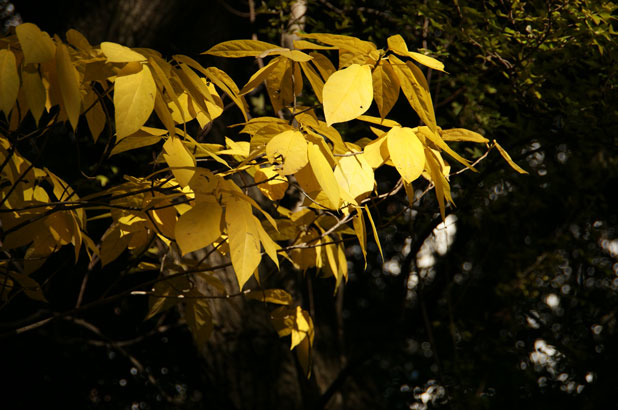 f0036603_21154430.jpg