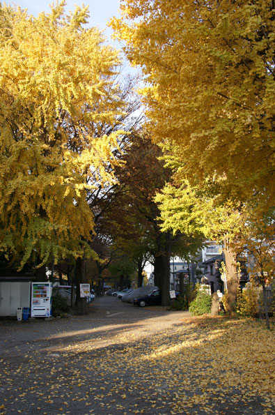 f0036603_21155458.jpg