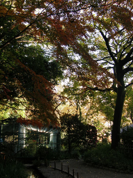 f0036603_21543012.jpg