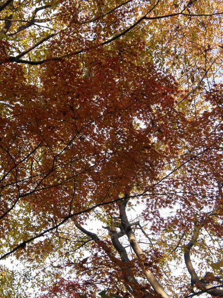 f0036603_21544514.jpg