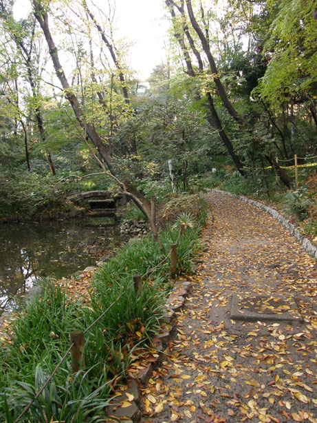f0036603_2154586.jpg