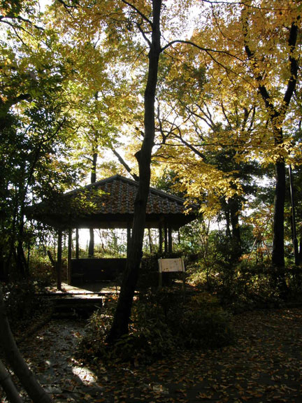 f0036603_2156345.jpg