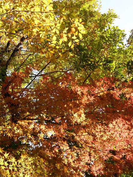 f0036603_2157332.jpg
