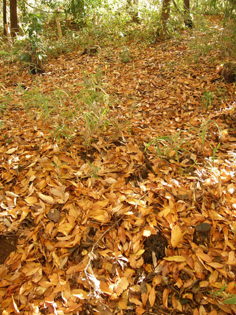 f0036603_21574364.jpg
