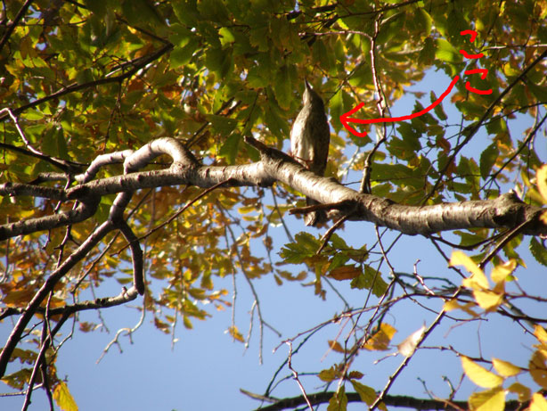 f0036603_21583192.jpg