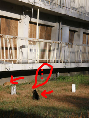 f0036603_21592026.jpg