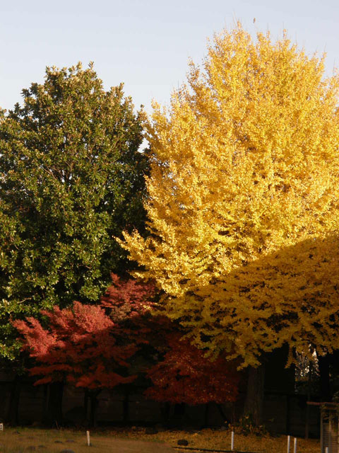 f0036603_2159892.jpg