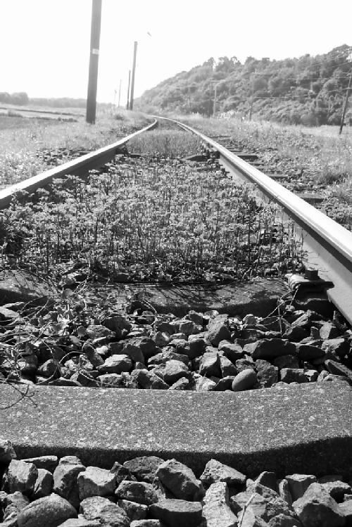 e0250807_2384013.jpg