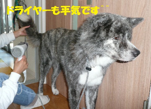 小心者なんです・・・_f0121712_8455417.jpg