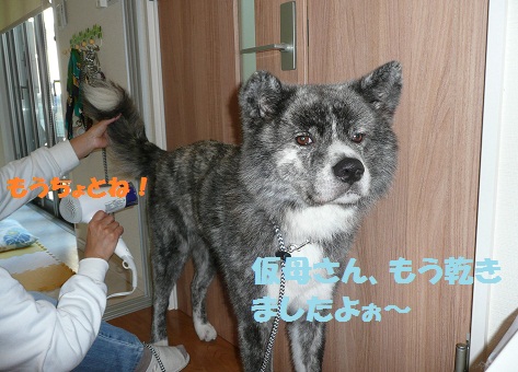 小心者なんです・・・_f0121712_84631.jpg