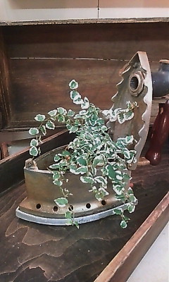 e0199317_21381229.jpg