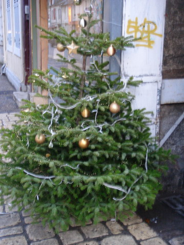 c0124619_824842.jpg
