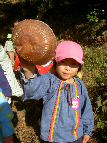 c0194522_16182872.jpg