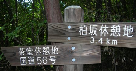 f0213825_8361796.jpg