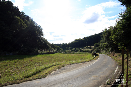 121 八雲山 ～久々の山登り～_c0211532_19571694.jpg