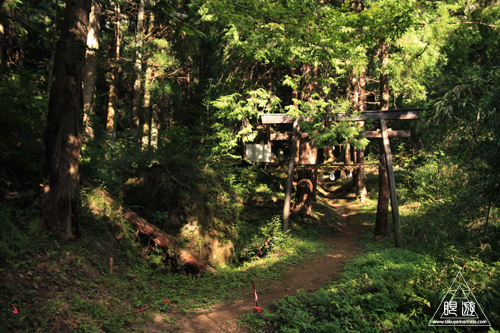 121 八雲山 ~久々の山登り~_c0211532_2129677.jpg