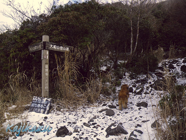 a0166940_8141134.jpg