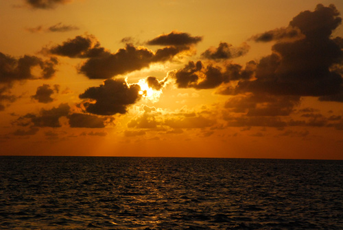 f0209740_16173428.jpg