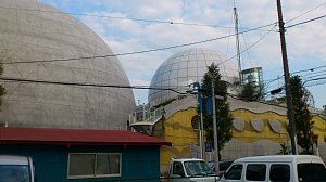 d0080547_1322274.jpg