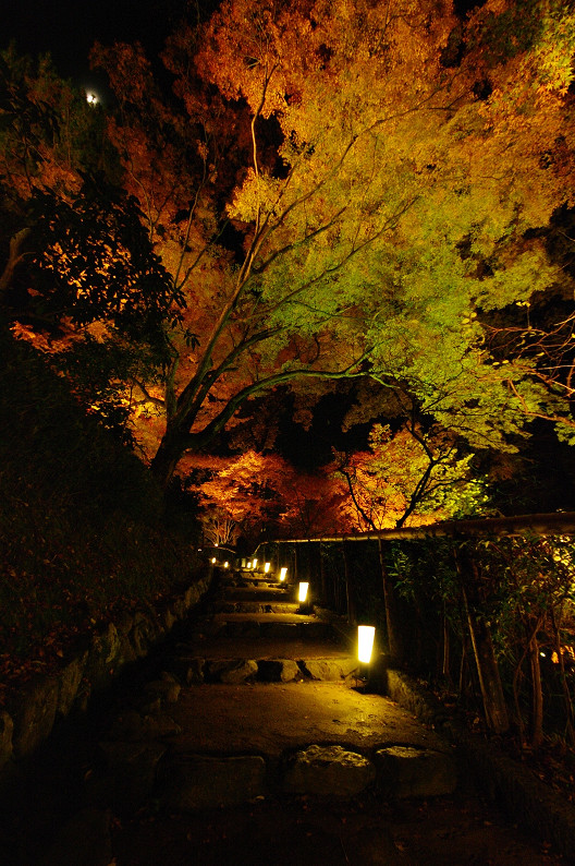 紅葉　～北野天満宮～_f0152550_221028.jpg