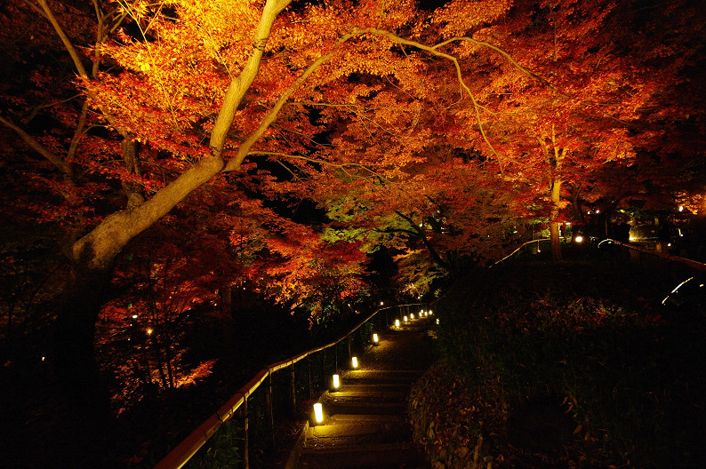 紅葉　～北野天満宮～_f0152550_22103188.jpg