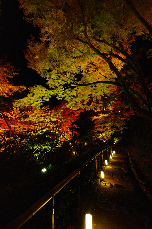 紅葉　～北野天満宮～_f0152550_2210827.jpg