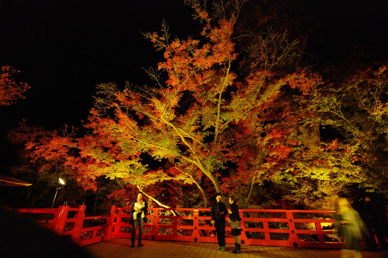 紅葉　～北野天満宮～_f0152550_226514.jpg