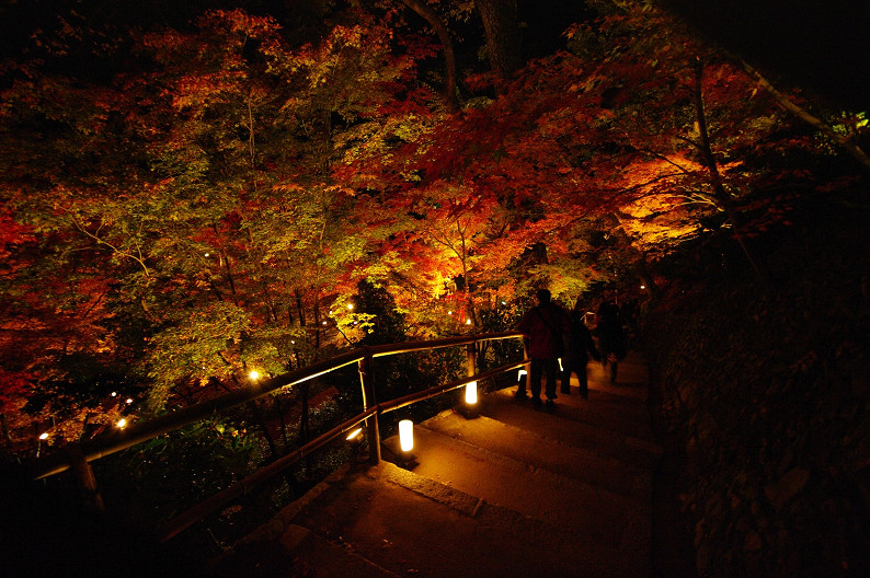 紅葉　～北野天満宮～_f0152550_2265896.jpg