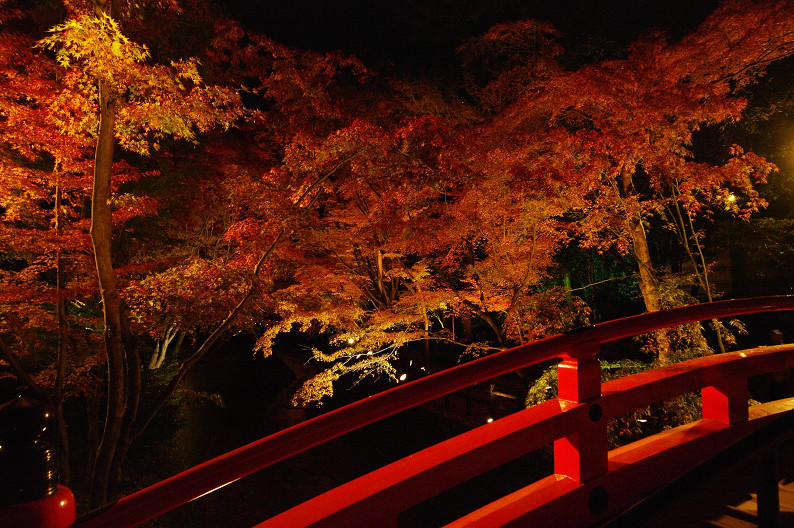 紅葉　～北野天満宮～_f0152550_2271587.jpg