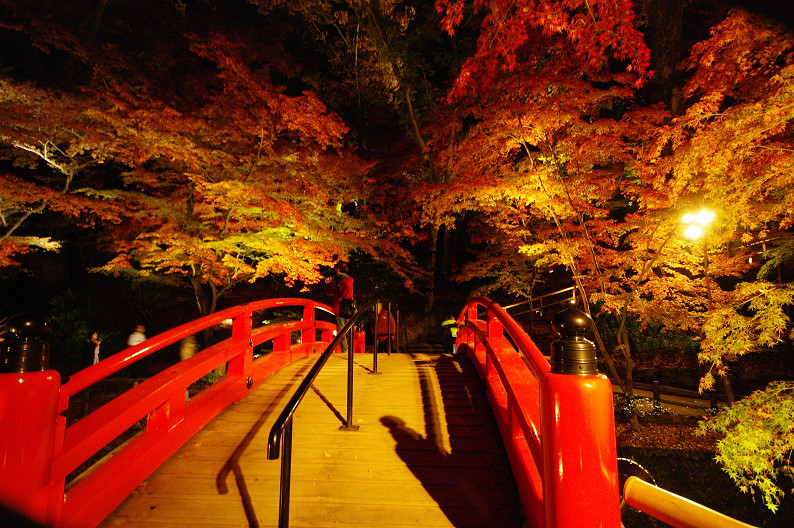 紅葉　～北野天満宮～_f0152550_2272043.jpg